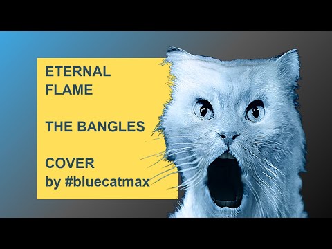 The Bangles - Eternal Flame - LONG Cover by Pink - legacy recordings - sony bmg music entertainment