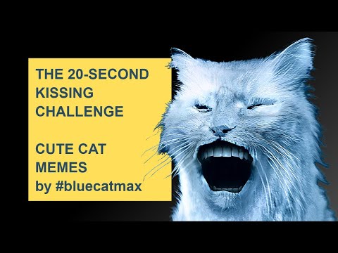 20 seconds of Cute Cat Kisses - Cats Kisses by Blue Cat Max