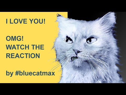I Love You - Short Meme Fails by Pink #bluecatmax - OMG Watch The Reaction!