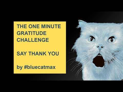 THANK YOU - Funny Cat MEMES [2022] by #bluecatmax