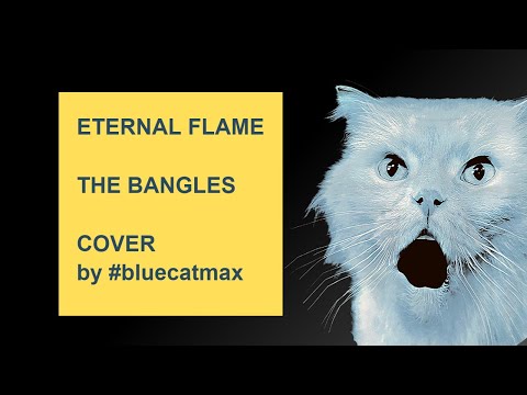 The Bangles - Eternal Flame - Cover by Blue Cat Max