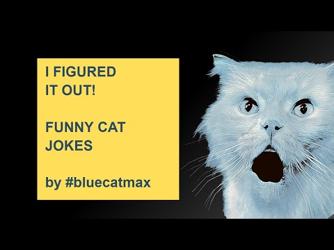 I Figured It Out! - Blue and Pink Jokes