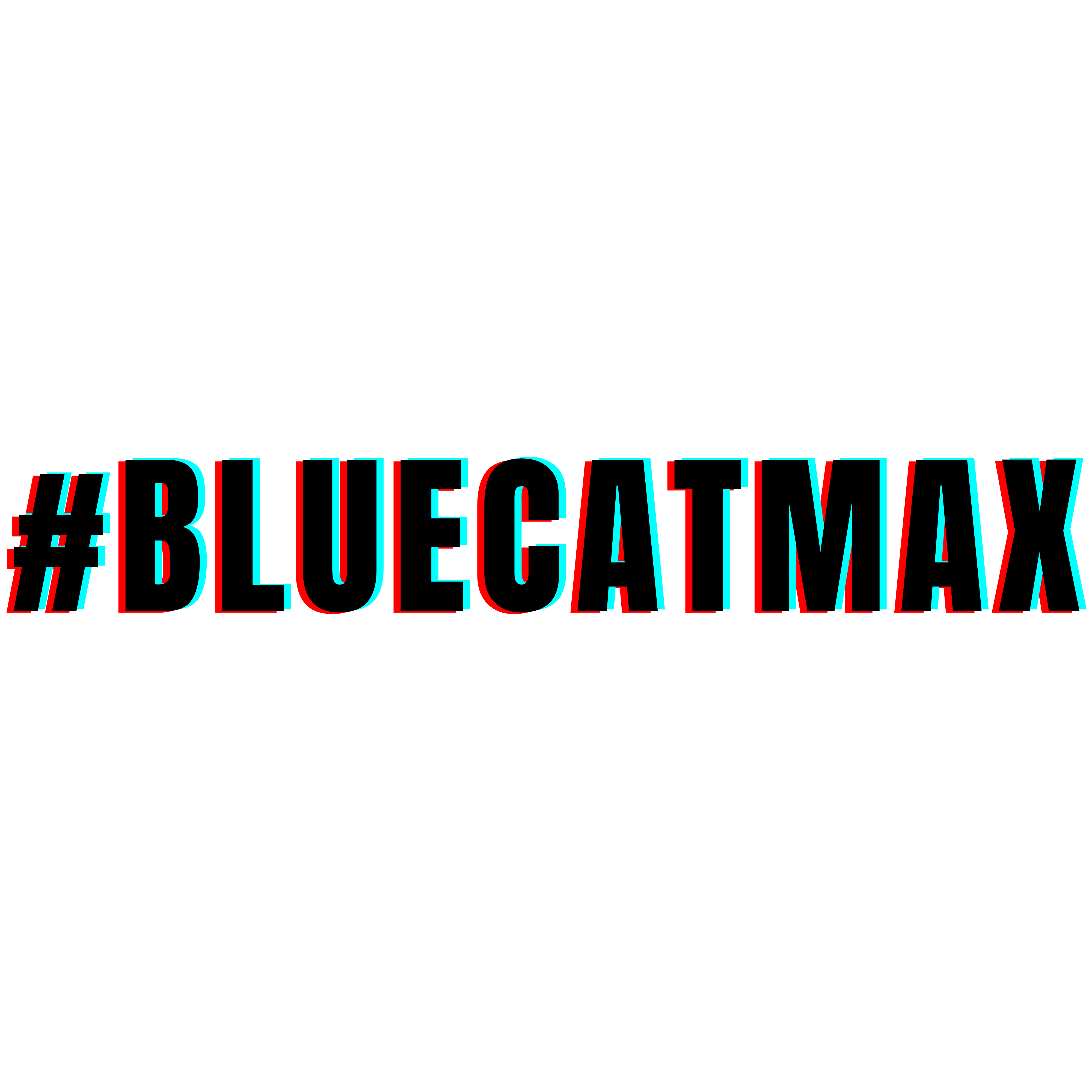 bluecatmax logo