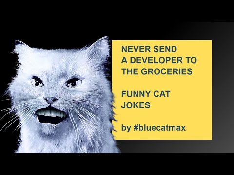 NEVER SEND A DEVELOPER TO THE GROCERIES! Here's why! Hilarious cat jokes by #bluecatmax [2022]