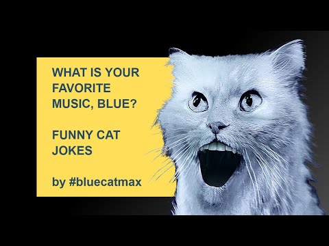 Whats Your Favorite Music? - Blue and Pink Jokes