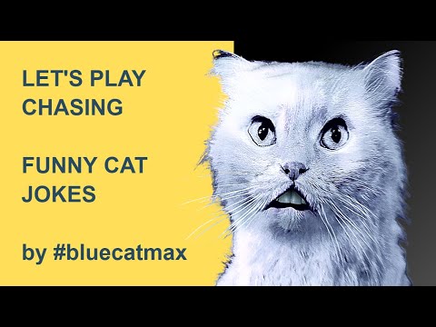 Lets Play Chasing - Pink Asks Blue - Funny Cat Videos Epic Fails #Bluecatmax Reaction