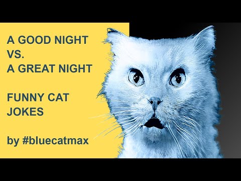 What Is The Difference Between GOOD NIGHT vs. GREAT NIGHT? Jokes by #bluecatmax [FUNNY CAT VIDEO]