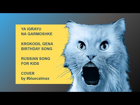 Ya Igrayu na Garmoshke - Gena Birthday Song - Cover by #bluecatmax - russian blue cat karaoke