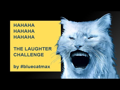 Try Not To Laugh - Most Hilarious Cat Laughter Ever - by #bluecatmax reaction memes