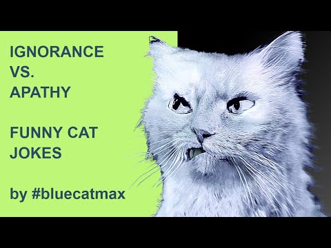 What Is The Difference Between IGNORANCE vs. APATHY? Jokes by #bluecatmax [FUNNY CAT VIDEO] 2022
