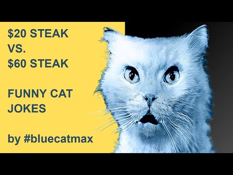 What is the Difference Between $20 STEAK vs. $60 STEAK? #bluecatmax [FUNNY CAT VIDEO] Reactions