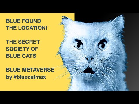 I Heard About A Secret Society! - [PART III]- Blue and Pink talk about the BLUE CATAVERSE