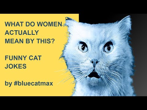 What Do Women Actually Mean (When They Say These 12 Things)? Funny Cat Video #bluecatmax Reactions