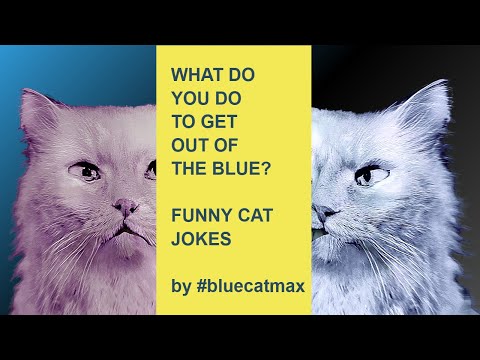 What Do You Do to Get Out Of The Blue? - Blue and Pink Jokes