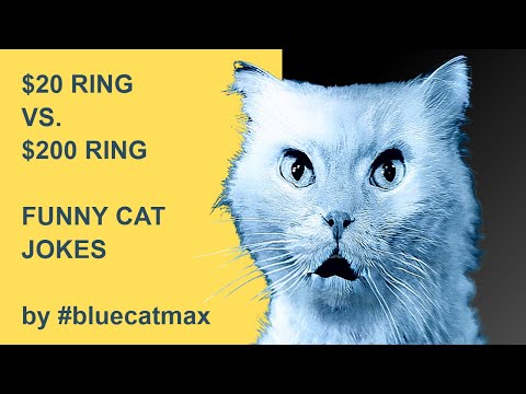 What is the Difference Between a $20 RING vs. $200 RING? #bluecatmax [FUNNY CAT VIDEO] Jokes
