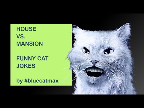 What is The Difference Between a HOUSE vs. MANSION? #bluecatmax [FUNNY CAT VIDEO] Reaction