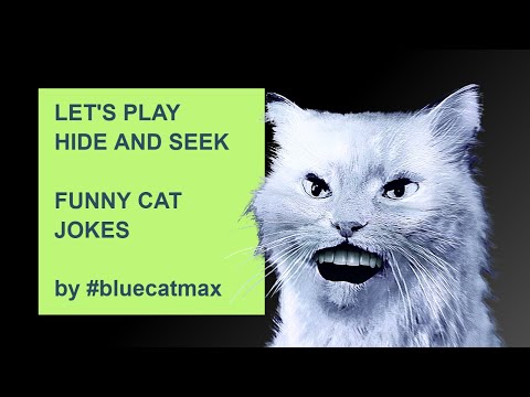 Lets Play Hide and Seek - Blue and Pink Jokes