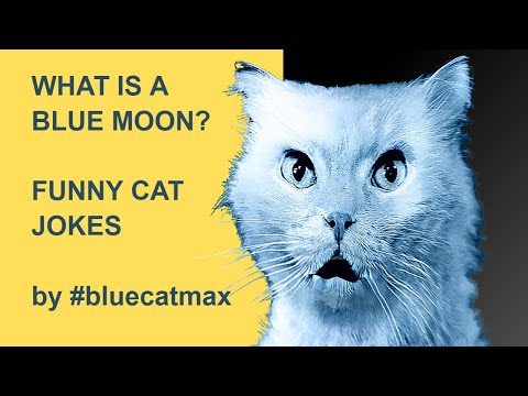 What Is A Blue Moon? - Unexpected Answer! Epic fail! - Moon Apogee #bluecatmax