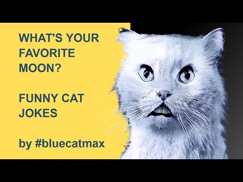 What is Your Favorite Moon? - Blue and Pink Jokes
