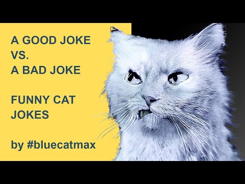 What Is The Difference Between A GOOD JOKE vs. A BAD JOKE? by #bluecatmax [FUNNY CAT VIDEO] 2022