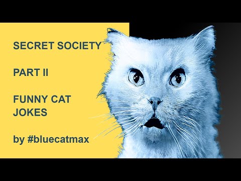 I Heard About A Secret Society! - Part II - Blue and Pink Jokes - Funny Cat Videos Reaction