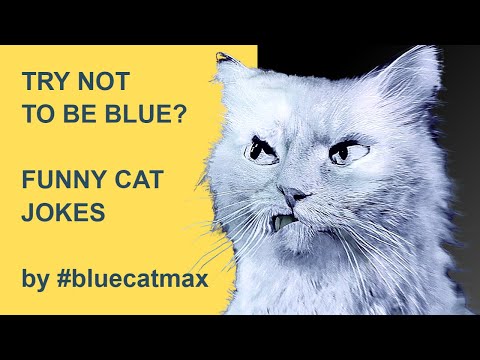 Try Not To Be Blue - Blue and Pink Stand Up Comedy