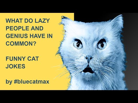 What is Common Between Being Lazy and Being Genius? - Funny Cat Videos 2022 #bluecatmax