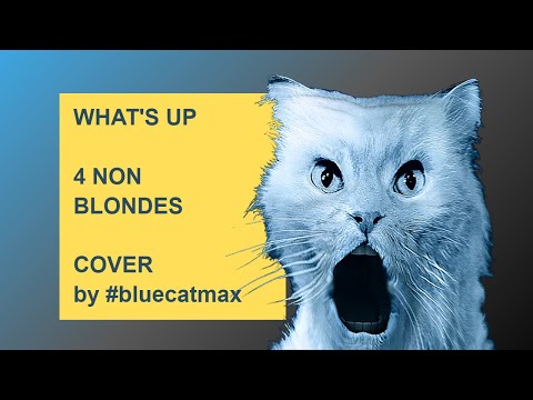 4 Non Blondes - WHATS UP - A Cappella Cover by #bluecatmax [FUNNY CAT VIDEO]