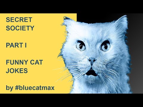 I Heard About A Secret Society! - Part I - Blue and Pink Jokes