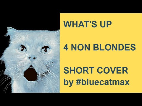 4 Non Blondes - What's Up - Cover by Blue Cat Max