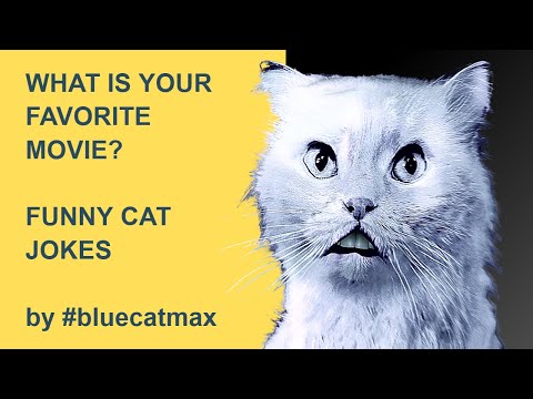 Whats Your Favorite Movie? - Pink & Blue Comedy Videos
