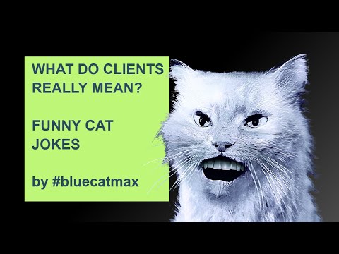 What Do CLIENTS REALLY MEAN (When They Say These 15 Things)? FUNNY CAT VIDEO #bluecatmax