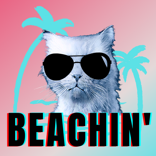#bluecatmax #1 beachin'