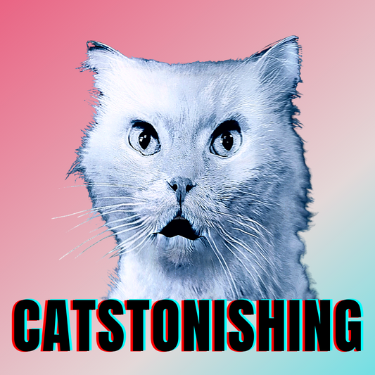 #bluecatmax #40 catstonishing