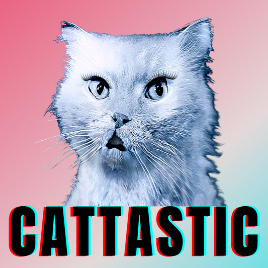 #bluecatmax #42 cattastic