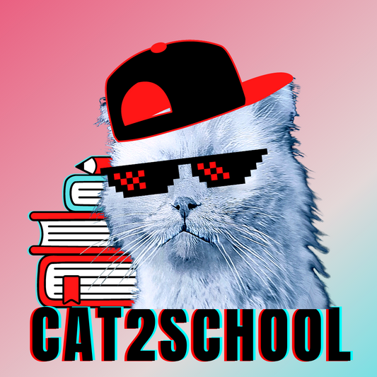 #bluecatmax #24 cat2school