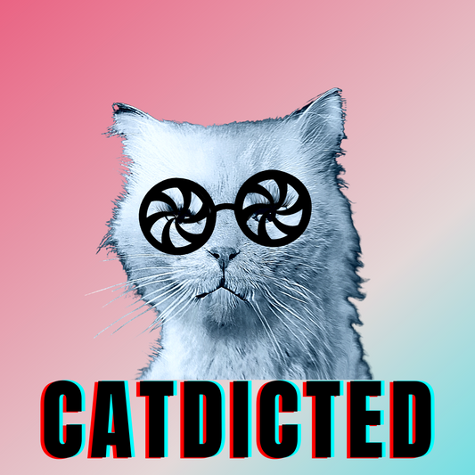 #bluecatmax #8 catdicted