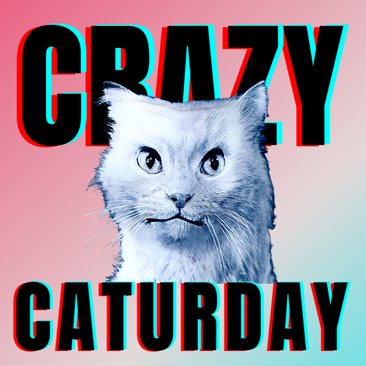 #bluecatmax #43 crazy caturday