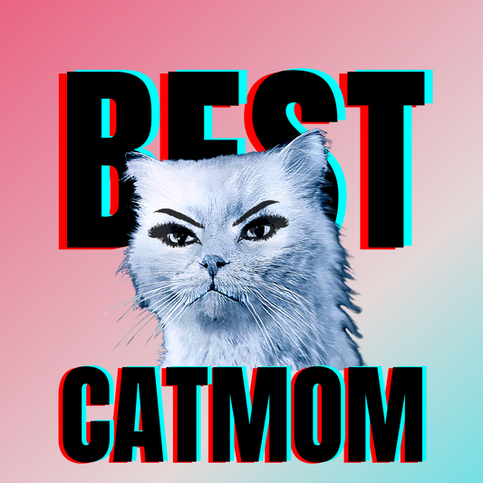 #bluecatmax #6 best cat mom
