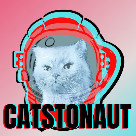 #bluecatmax #41 catstronaut