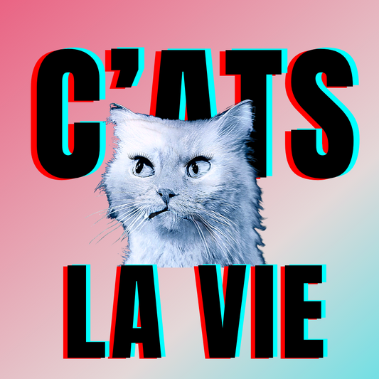 #bluecatmax #35 c'ats la vie