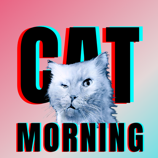#bluecatmax #19 catmorning